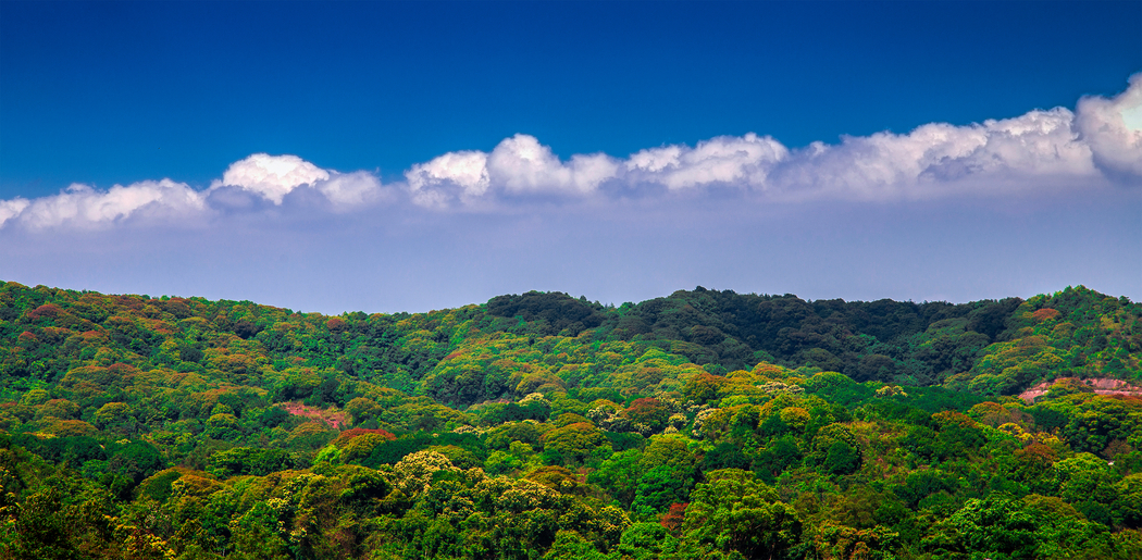 秋天树林与天空4K高清风景图片壁纸，3000x1472分辨率下载