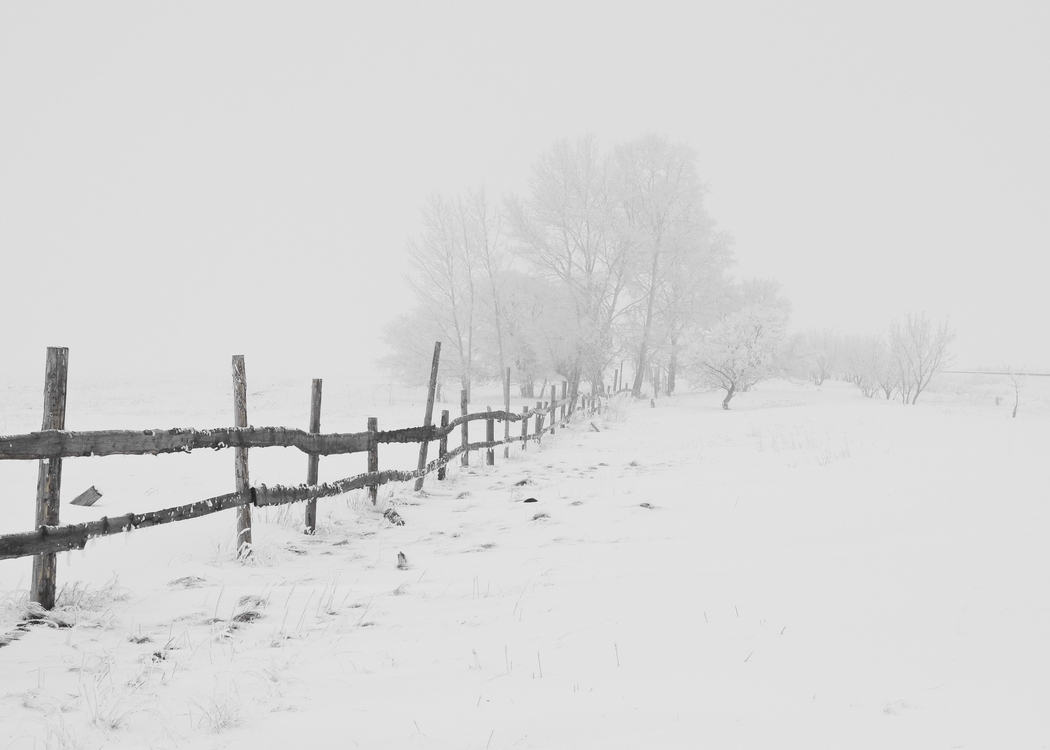 冬日自然雪景，高清4K树与栅栏天空风景图片壁纸 3780x2699 下载