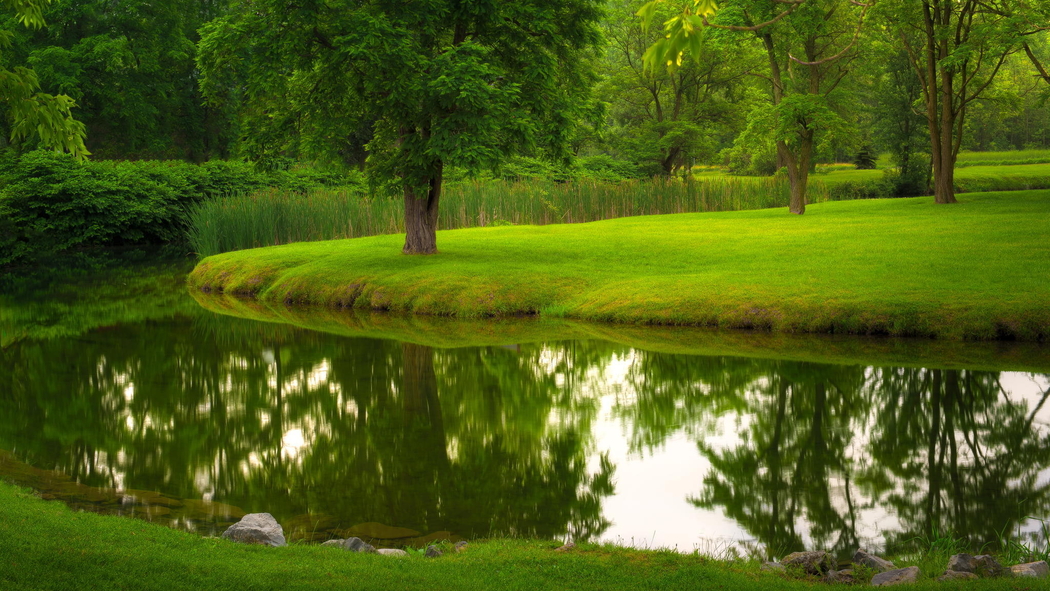 夏日公园自然美景，4K高清绿色风景图片壁纸下载（2048x1152）