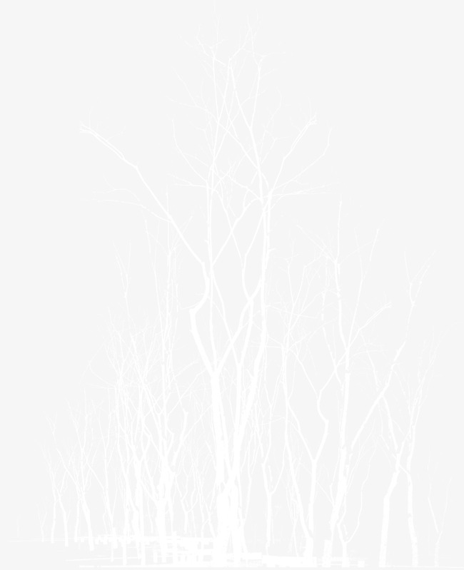 高清PNG透明背景树元素底纹设计素材下载