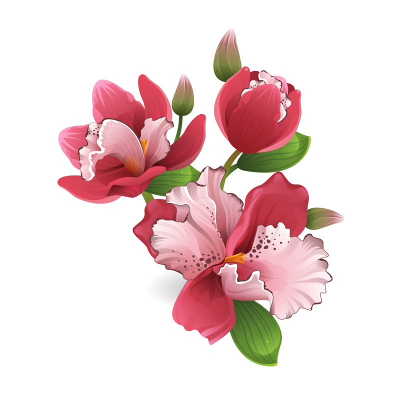 淘宝高清PNG透明花瓣、花朵、花絮矢量素材及漂浮元素设计图下载