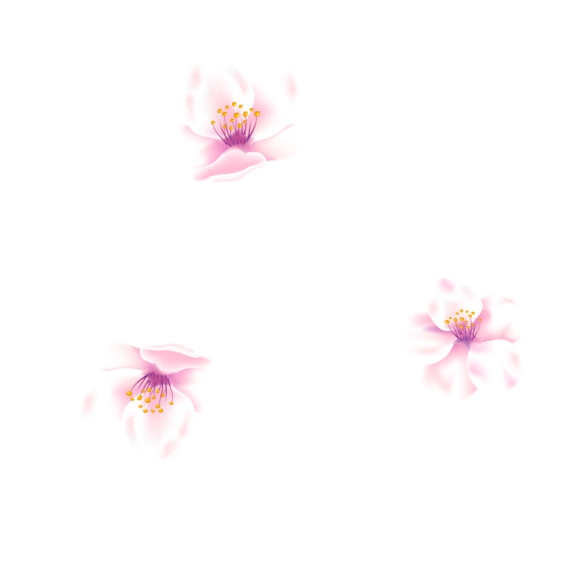 粉色小花高清PNG透明漂浮花瓣设计素材下载