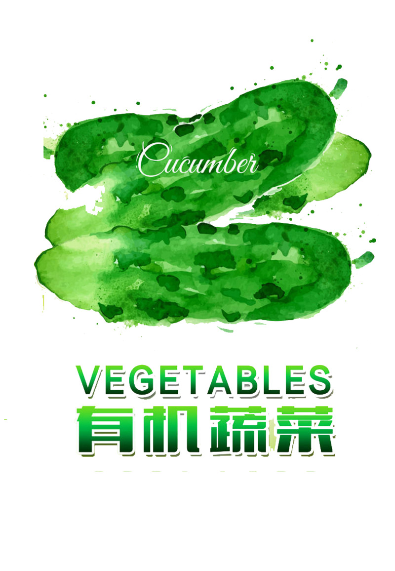 有机蔬菜PNG透明漂浮花瓣设计素材高清下载