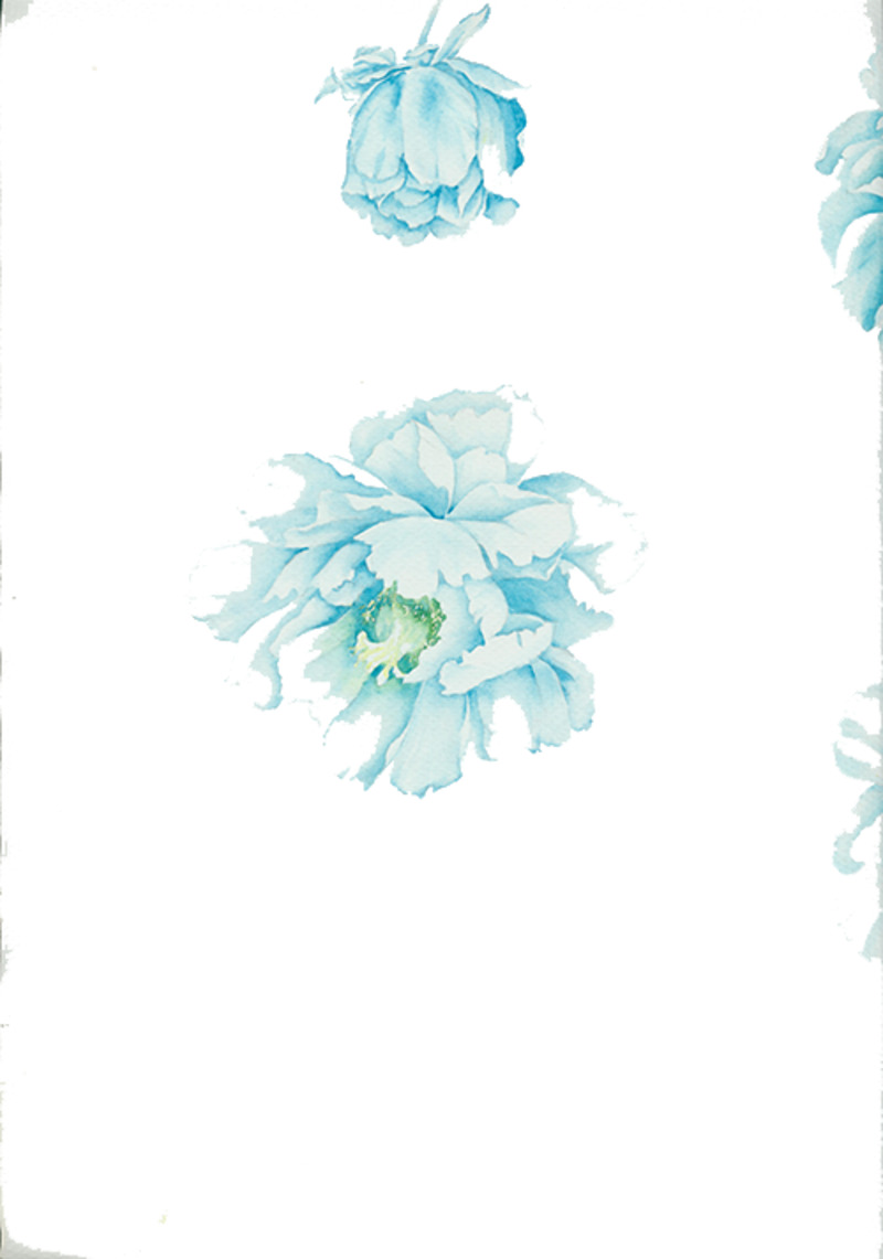蓝色花朵高清PNG透明漂浮花瓣设计素材下载