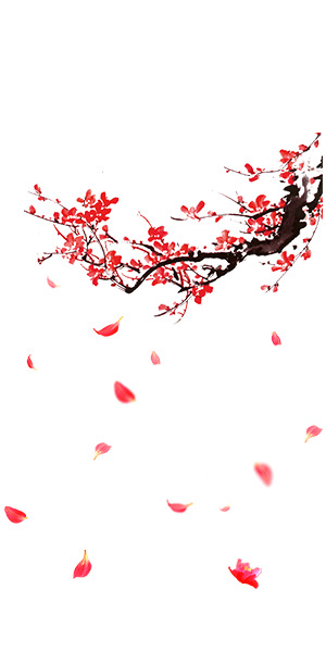 高清梅花花瓣飘落PNG透明图片，植物装饰元素设计素材下载