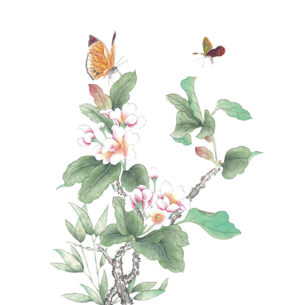 古风白色花朵蝴蝶花枝水彩PNG透明装饰元素设计素材下载