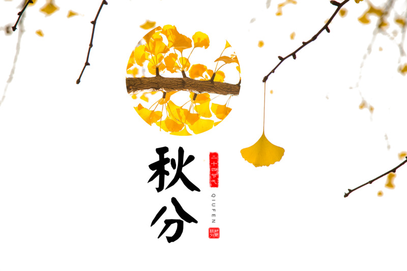 秋分艺术字高清PNG透明免抠字体元素设计素材下载