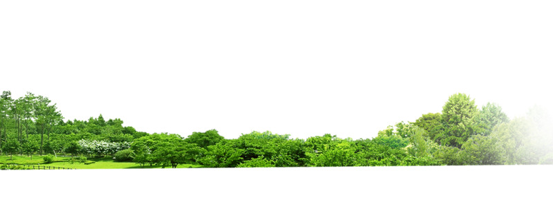 绿色植物高清PNG透明背景元素，摄影风景图片设计素材免费下载