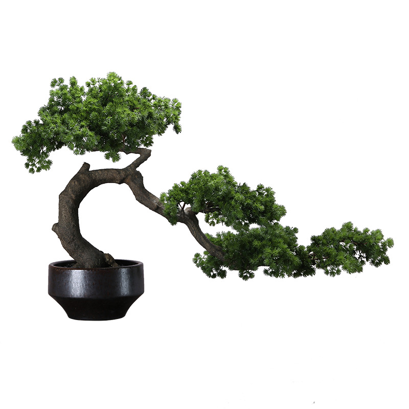 高清PNG透明盆栽盆景动植物元素装饰图片，绿色植物设计素材下载
