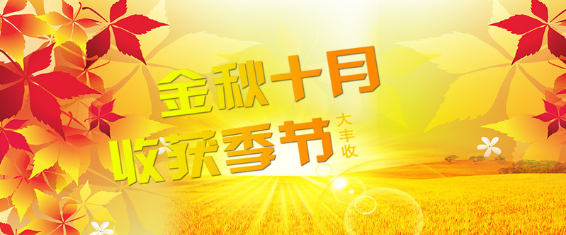 秋季丰收大气背景高清JPG，电商狂欢设计素材下载
