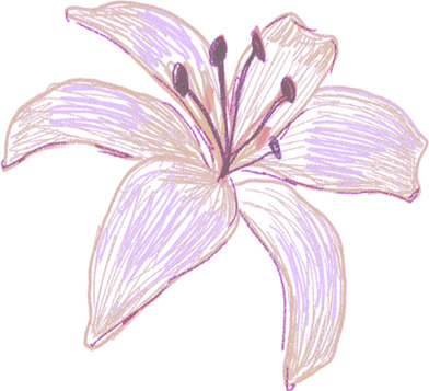 高清手绘花朵插画特效PNG图片，国庆节节日元素设计素材下载