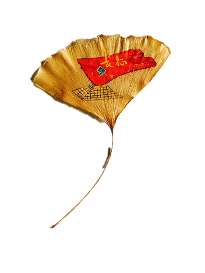 国庆节手绘树叶高清PNG透明图片及设计素材下载