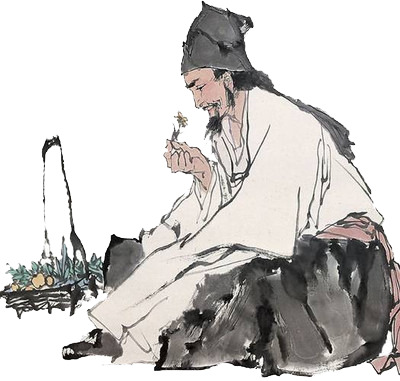 中医采药高清PNG透明免抠元素图片素材下载