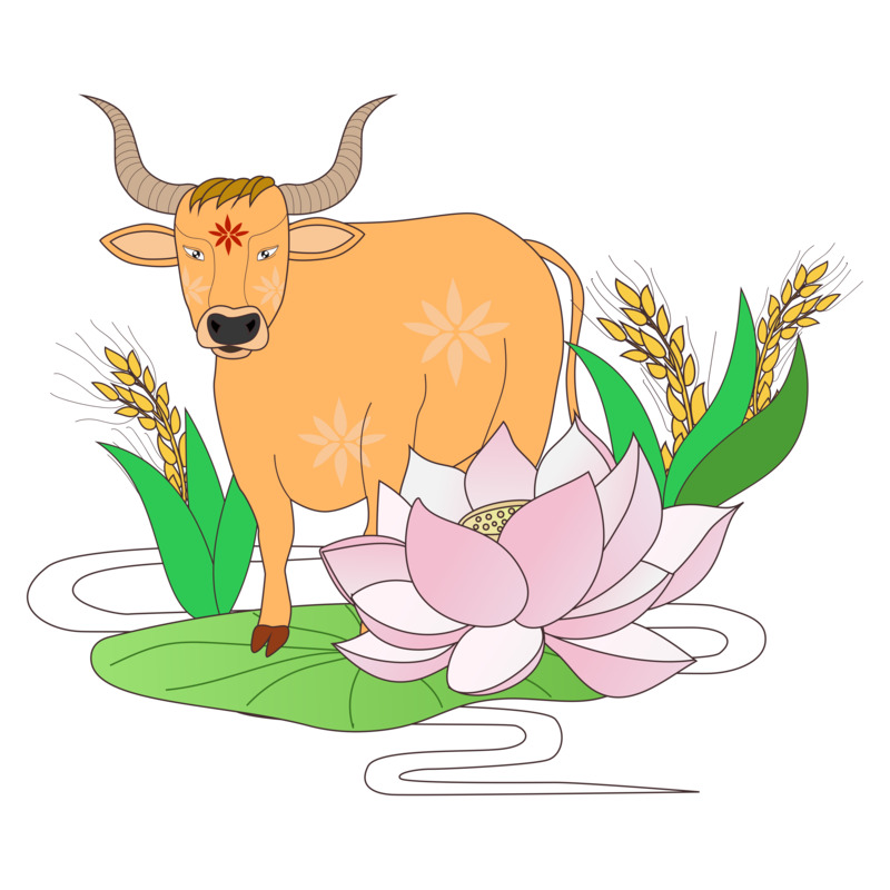 小满节气矢量图素材，高清PNG动植物元素免费下载
