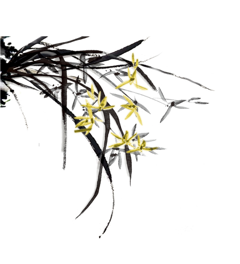 高清PNG水墨画植物素材，透明装饰元素设计图片下载