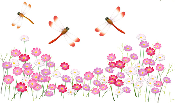高清PNG蜻蜓与红花漂浮元素设计素材下载