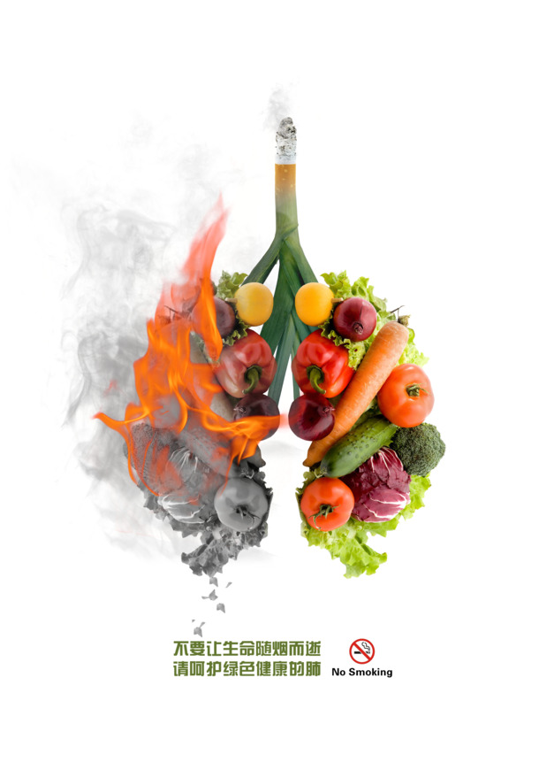 禁烟日公益广告素材，高清PNG肺部香烟蔬果植物装饰图下载