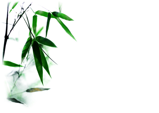 端午节竹叶风景高清PNG素材下载，绿色清新节日元素