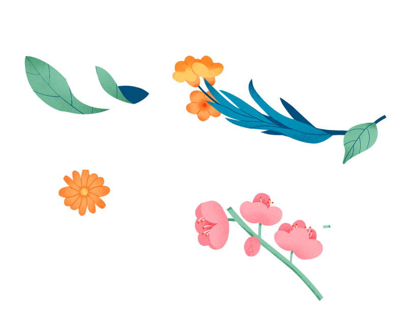 噪点插画动植物元素高清PNG透明图片，植物设计素材免费下载