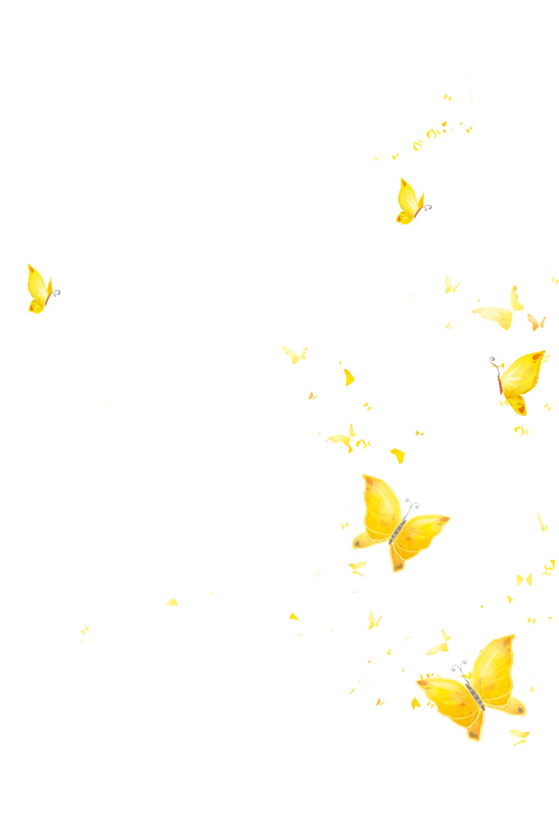 高清PNG透明飞舞蝴蝶图片素材，漂浮元素设计下载