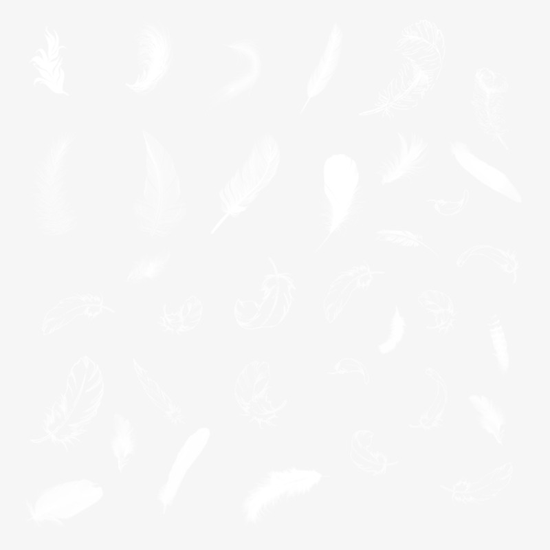 高清羽毛PNG素材，免抠漂浮元素，设计下载