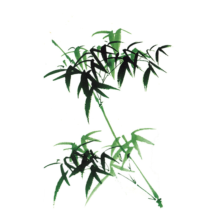 高清彩绘水墨竹子PNG透明图片，植物装饰元素设计素材下载