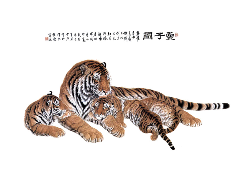 高清老虎PNG透明图片素材，动物装饰元素设计下载