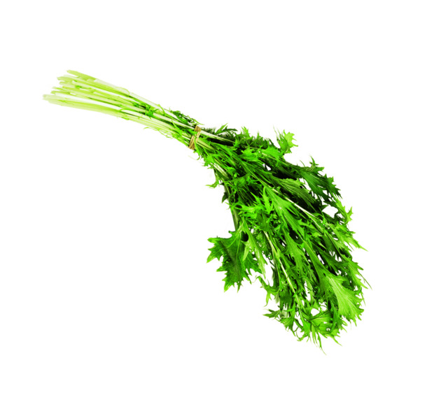 端午节绿色新鲜香芹芹菜高清PNG透明图片素材下载