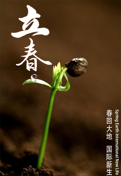 立春节日背景高清PNG透明图片素材下载，元旦、春节、元宵设计元素
