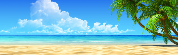夏季清新高清PNG透明素材模板，下载banner海报设计元素背景