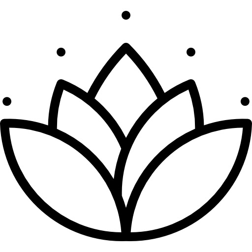 高清莲花图标PNG素材，透明免抠元素下载