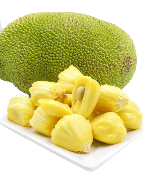 泰国菠萝蜜水果高清PNG透明装饰元素植物设计素材下载