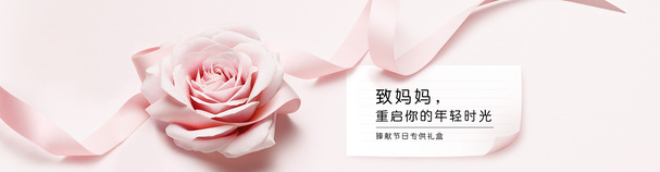 粉色康乃馨高清PNG透明背景Banner设计素材下载
