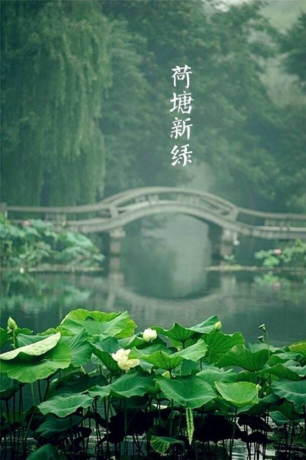 绿色荷塘中国风景PNG透明背景高清元素，H5背景设计素材下载