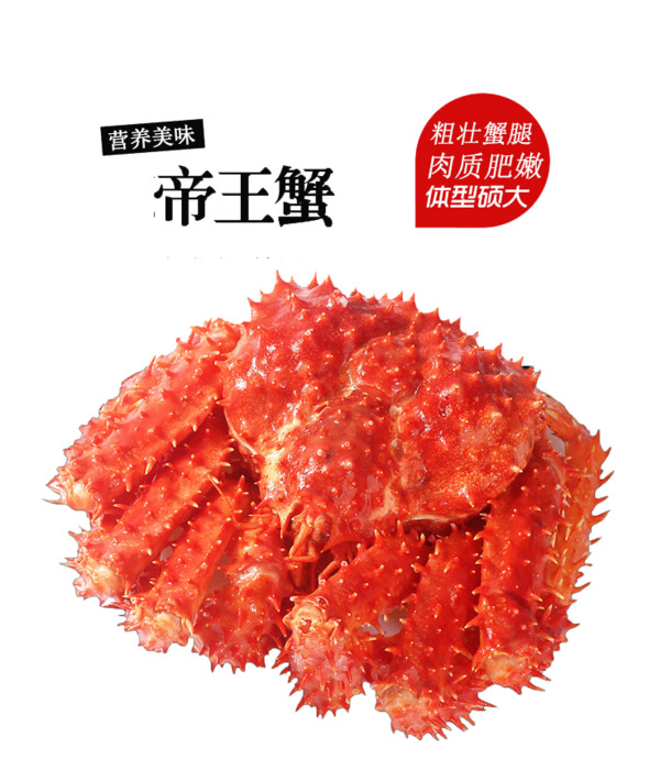 免费下载高清PNG透明帝王蟹图片，营养美味装饰元素与动物设计素材