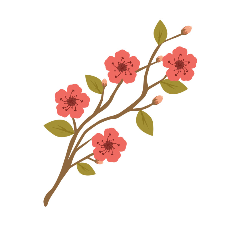 高清PNG透明漂浮花瓣设计素材下载