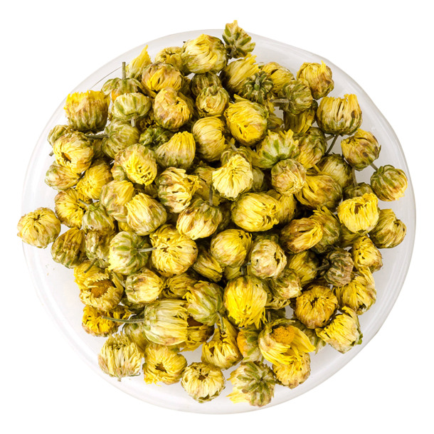 桐乡胎菊高清PNG透明图片素材，动植物元素植物设计图下载