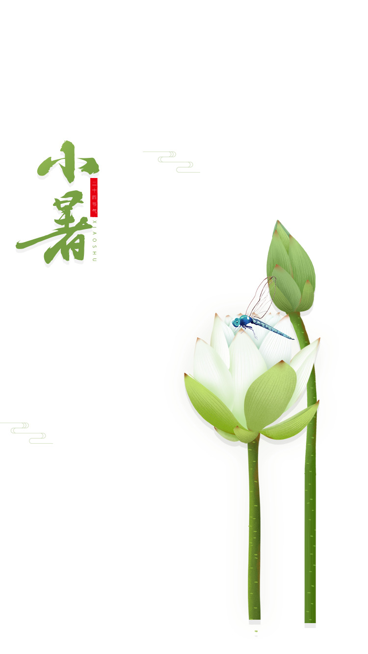 小暑莲花手绘PNG透明图片素材，高清装饰元素下载