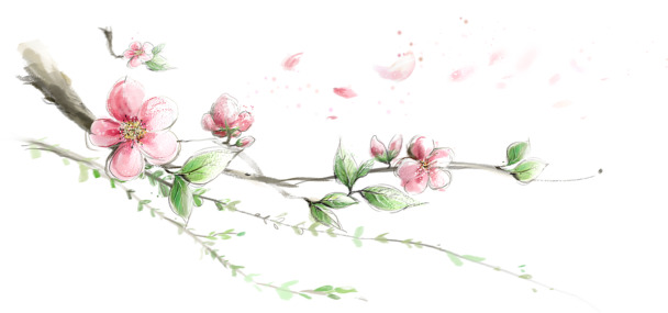 七夕情人节水墨梅花探枝高清PNG装饰素材下载