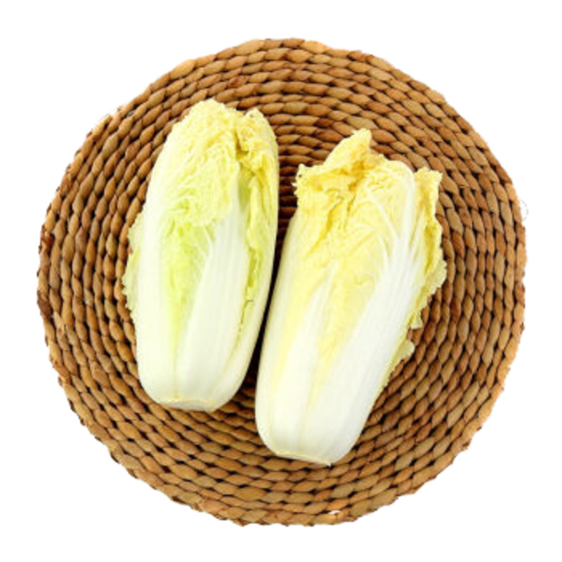 高清PNG透明娃娃菜图片素材，装饰生活用品设计下载