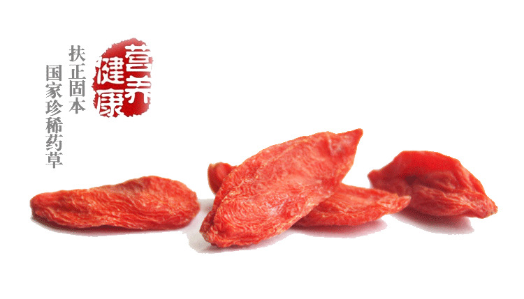 枸杞高清PNG透明图片素材，植物装饰元素免费下载