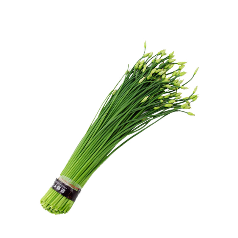 高清韭菜花PNG透明图片素材下载，动植物元素植物设计资源