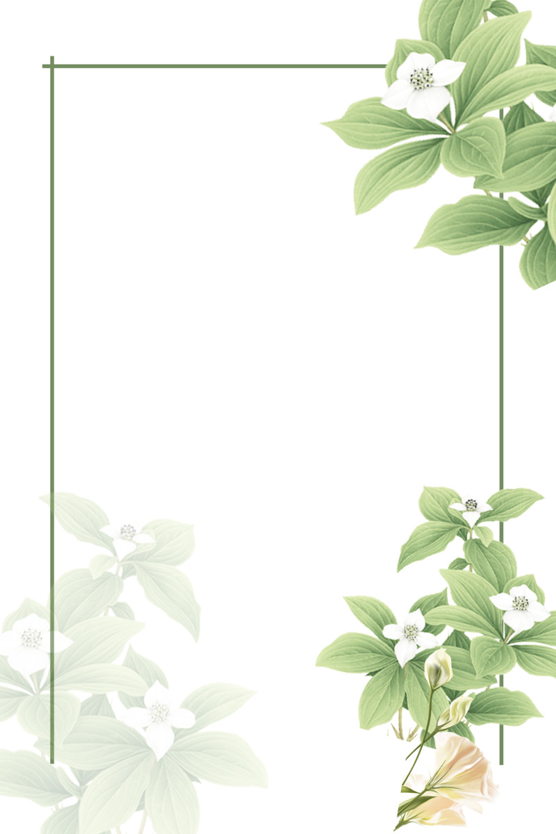 高清水彩绿色植物边框PNG透明图片，设计素材下载