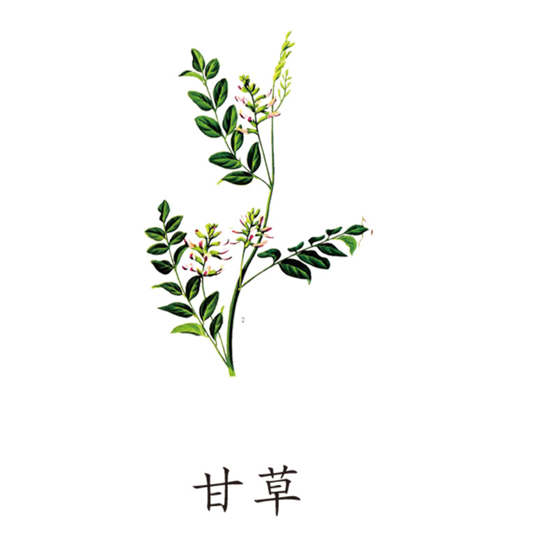 高清PNG透明植物甘草图片素材下载，动植物元素丰富