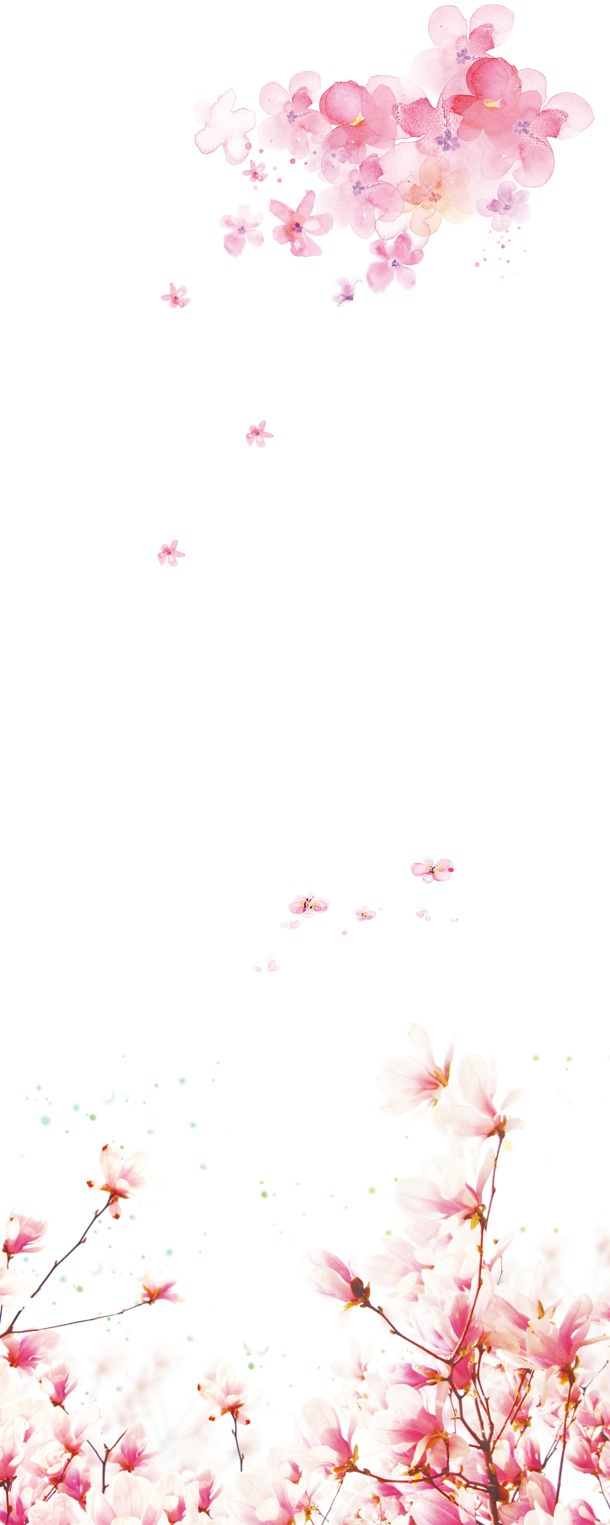 樱花高清PNG透明装饰元素与植物设计素材下载