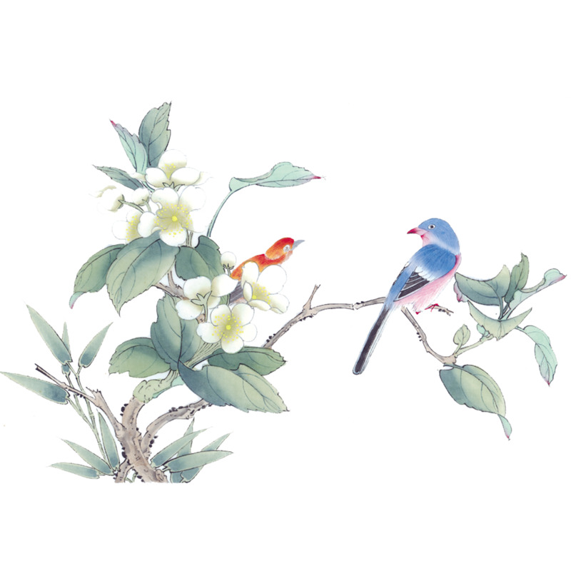 高清花鸟PNG透明图片素材，装饰元素与图案设计下载