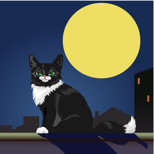 中秋节满月夜景猫PNG透明图片素材下载