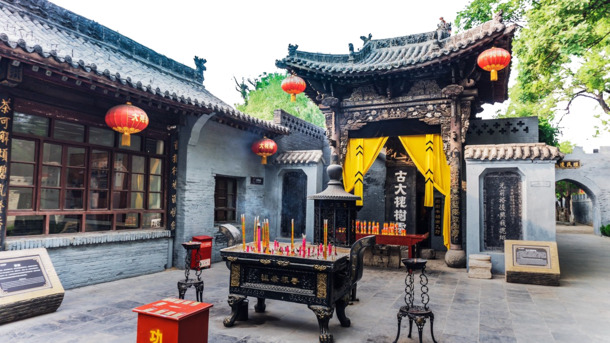 大槐树景观PNG透明背景高清图片素材下载