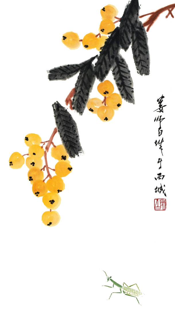高清手绘国画枇杷枝PNG透明图片素材，墨迹笔触装饰元素下载