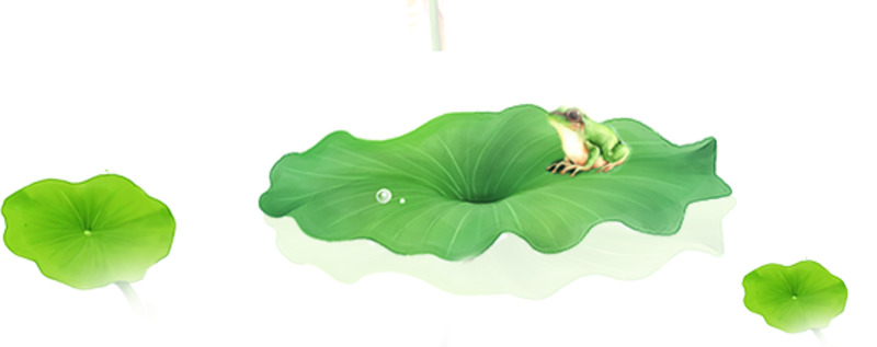 高清PNG透明图片，漂浮莲叶与青蛙，动植物设计素材下载